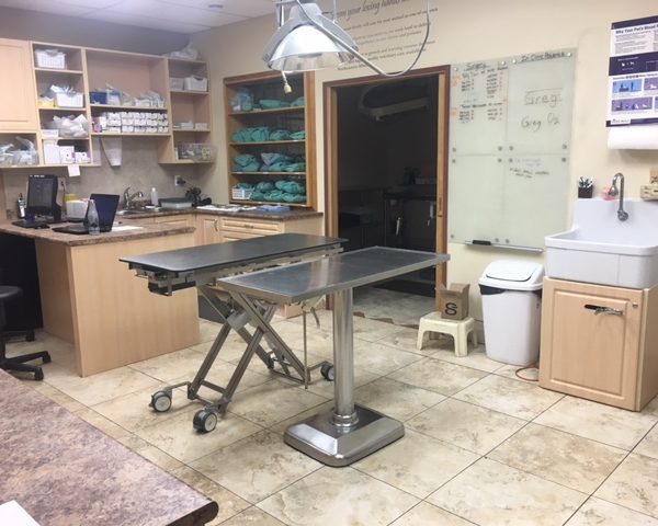 Treatment Area