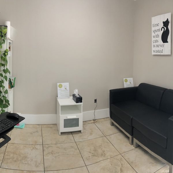 Consultation Room